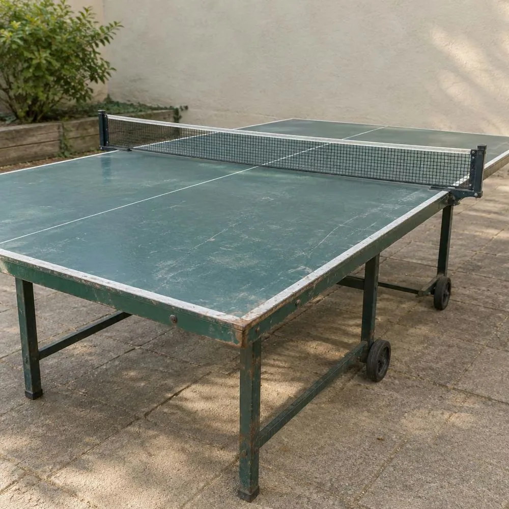 Tischtennisplatte